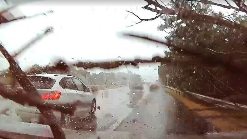Az M7-es autópályán csapott le rájuk a vihar, és egy pillanat alatt félelmetes fordulatot vett a helyzet az autójukban. A váratlan természeti jelenség teljesen meglepte őket. + nézd meg a videót!