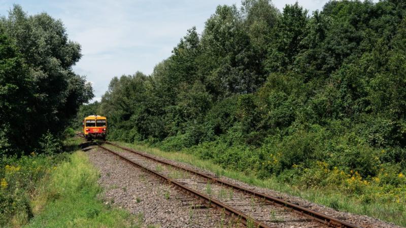 A sorompó nélküli, földúti átkelőnél bekövetkezett súlyos vonatbaleset sokkolta a helyi közösséget. A mentőszolgálat azonnal a helyszínre érkezett, hogy segítsen a sérülteknek, miközben a hatóságok megkezdték a baleset körülményeinek kivizsgálását. Az ese